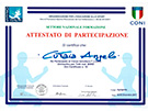 sito web